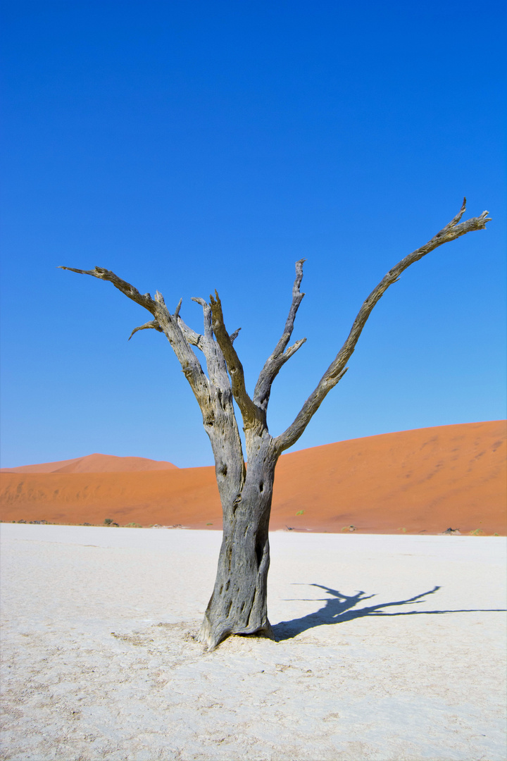 Deadvlei