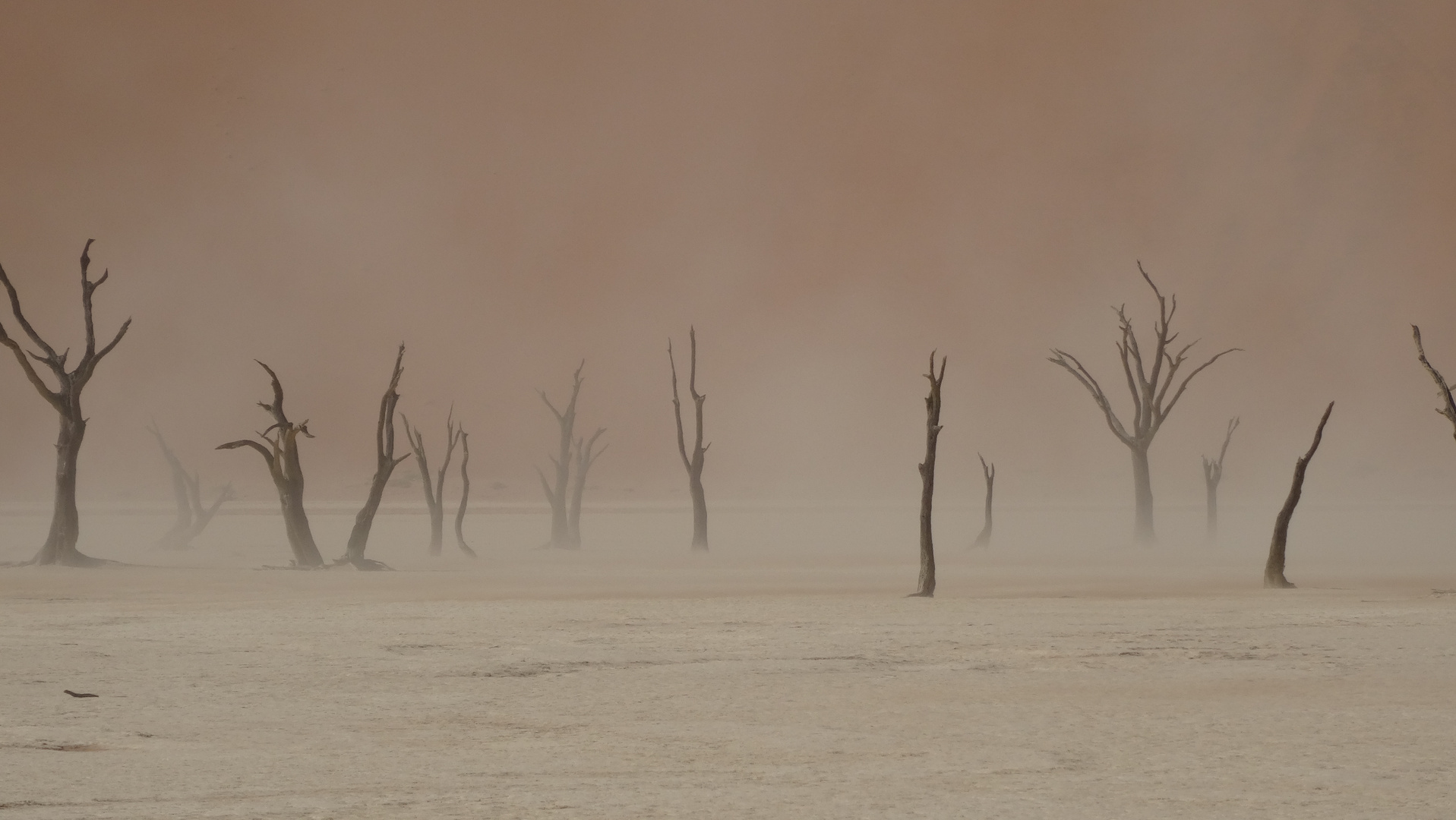 Deadvlei