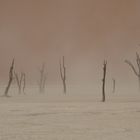 Deadvlei