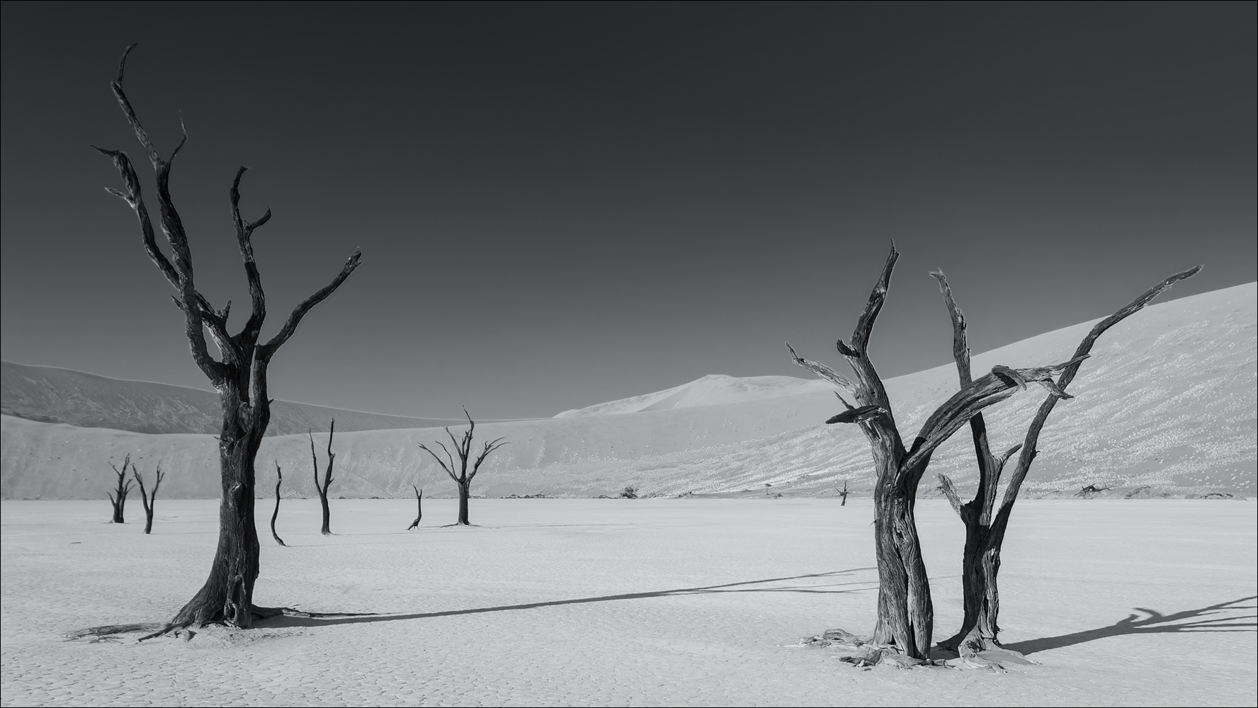 Deadvlei