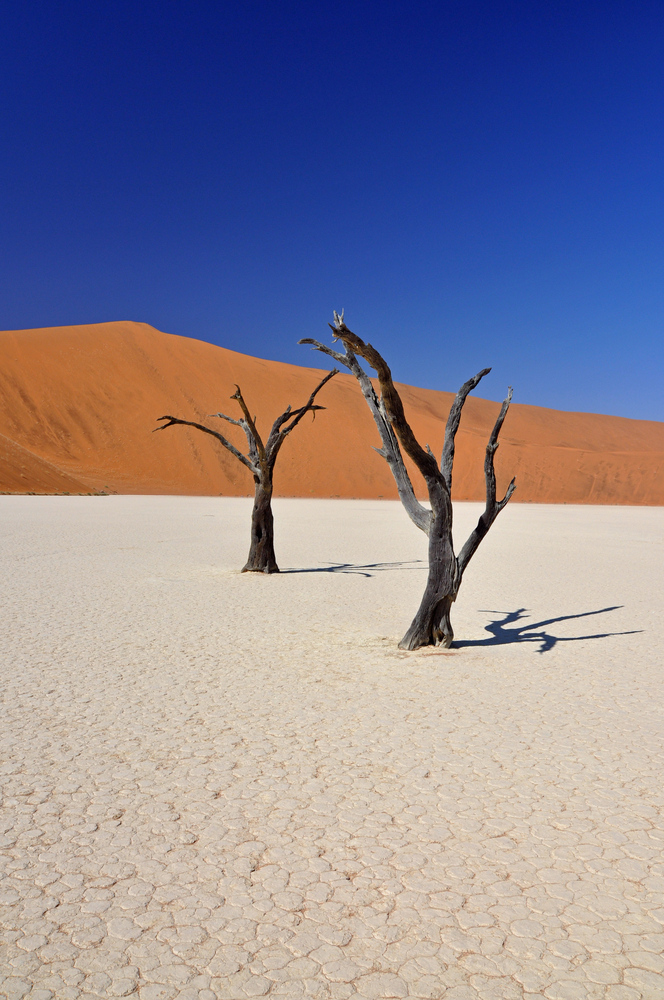 Deadvlei