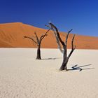 Deadvlei