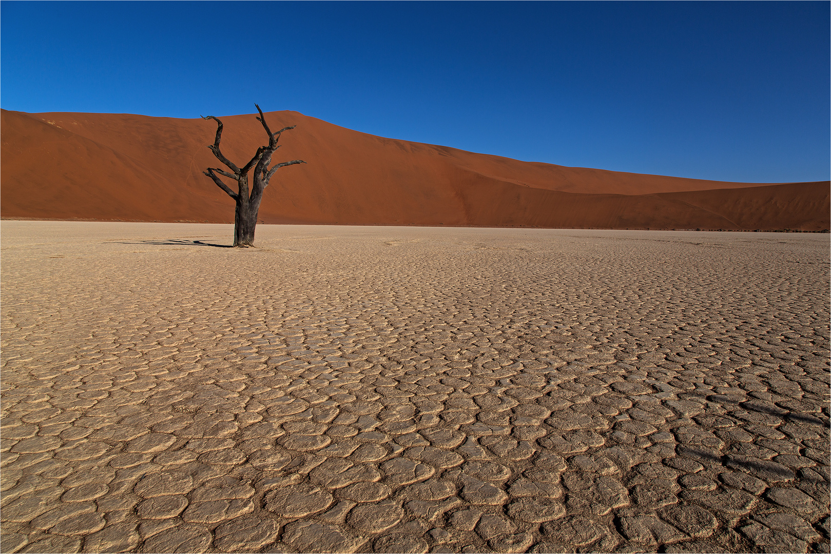 Deadvlei