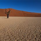 Deadvlei