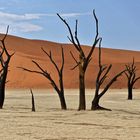 Deadvlei