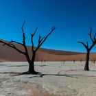 Deadvlei