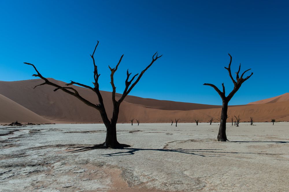 Deadvlei