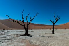 Deadvlei