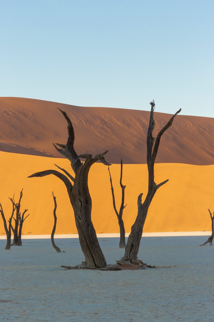 deadvlei