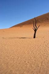 Deadvlei