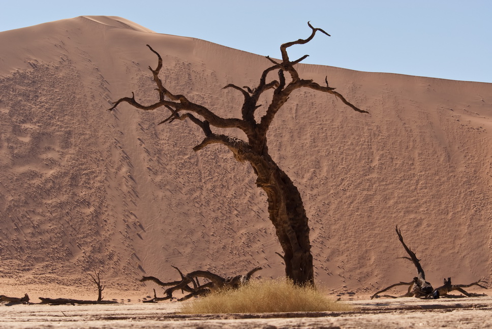 DeadVlei (9) Dezember 2009