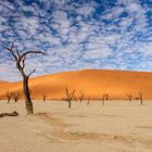 Deadvlei