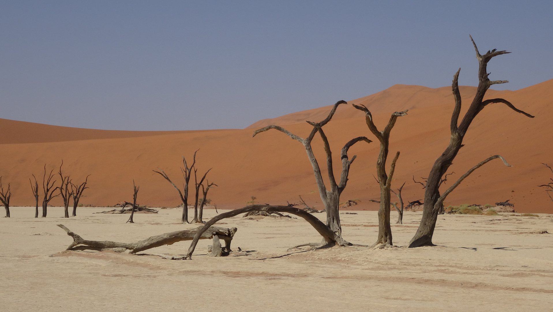 Deadvlei