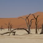 Deadvlei