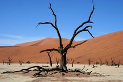 Deadvlei