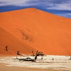 Deadvlei