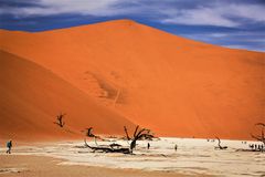 Deadvlei