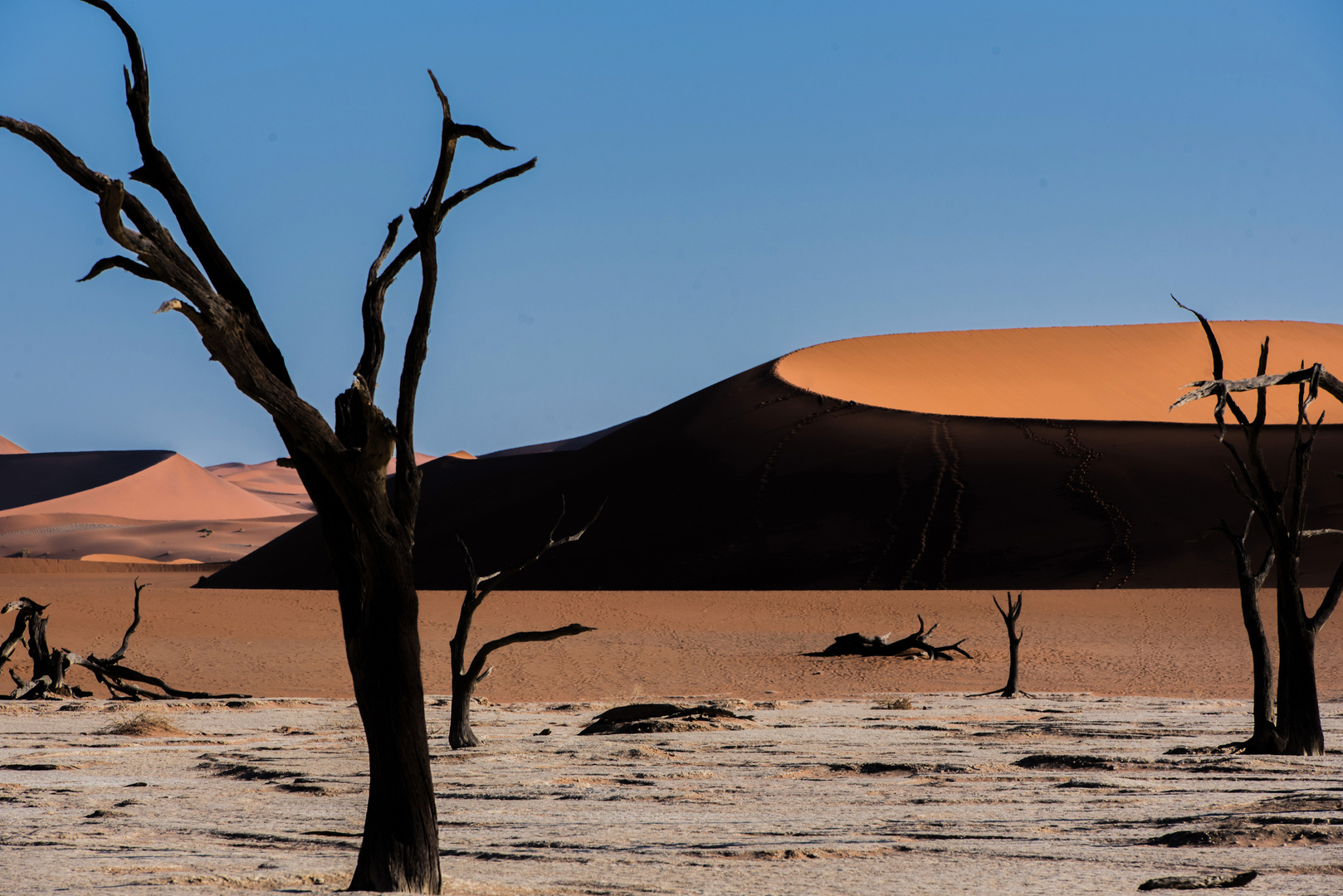 Deadvlei