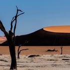 Deadvlei