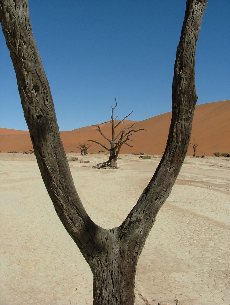 Deadvlei