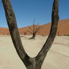 Deadvlei