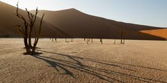 Deadvlei