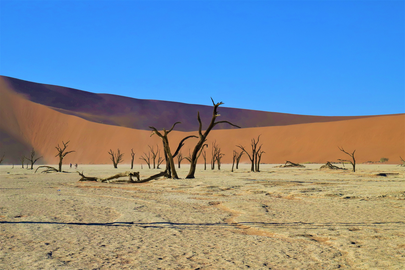 Deadvlei