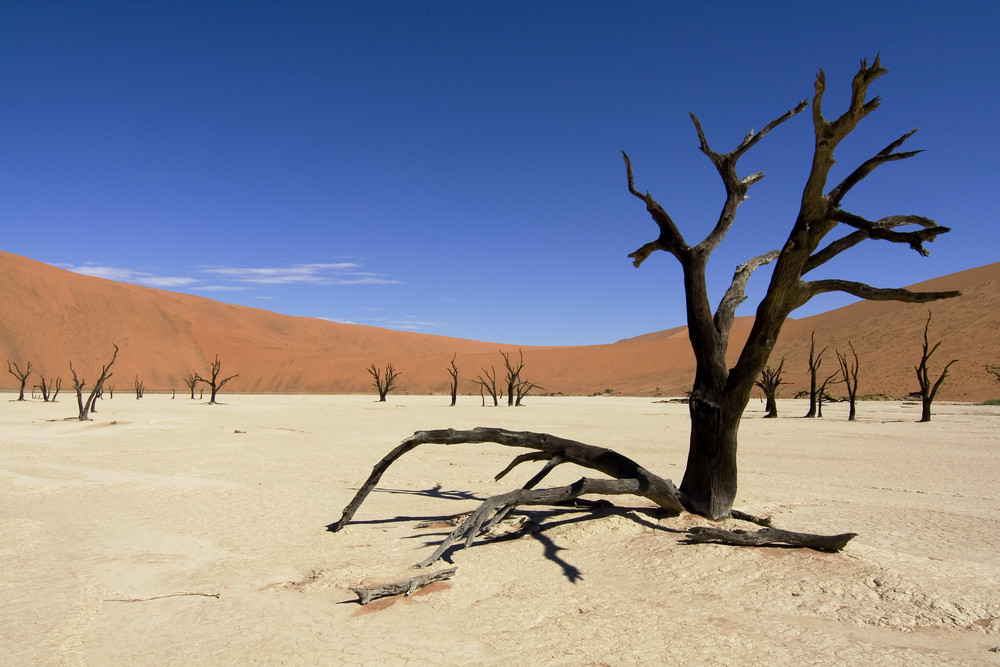 Deadvlei