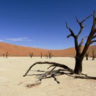 Deadvlei