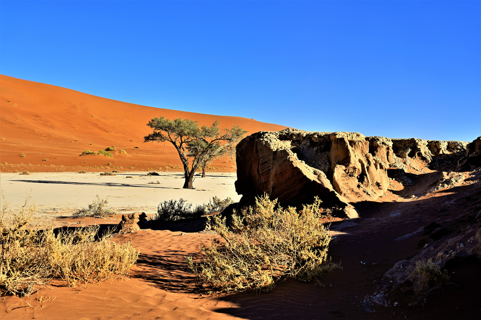 Deadvlei