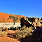 Deadvlei