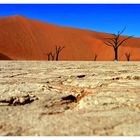 Deadvlei...