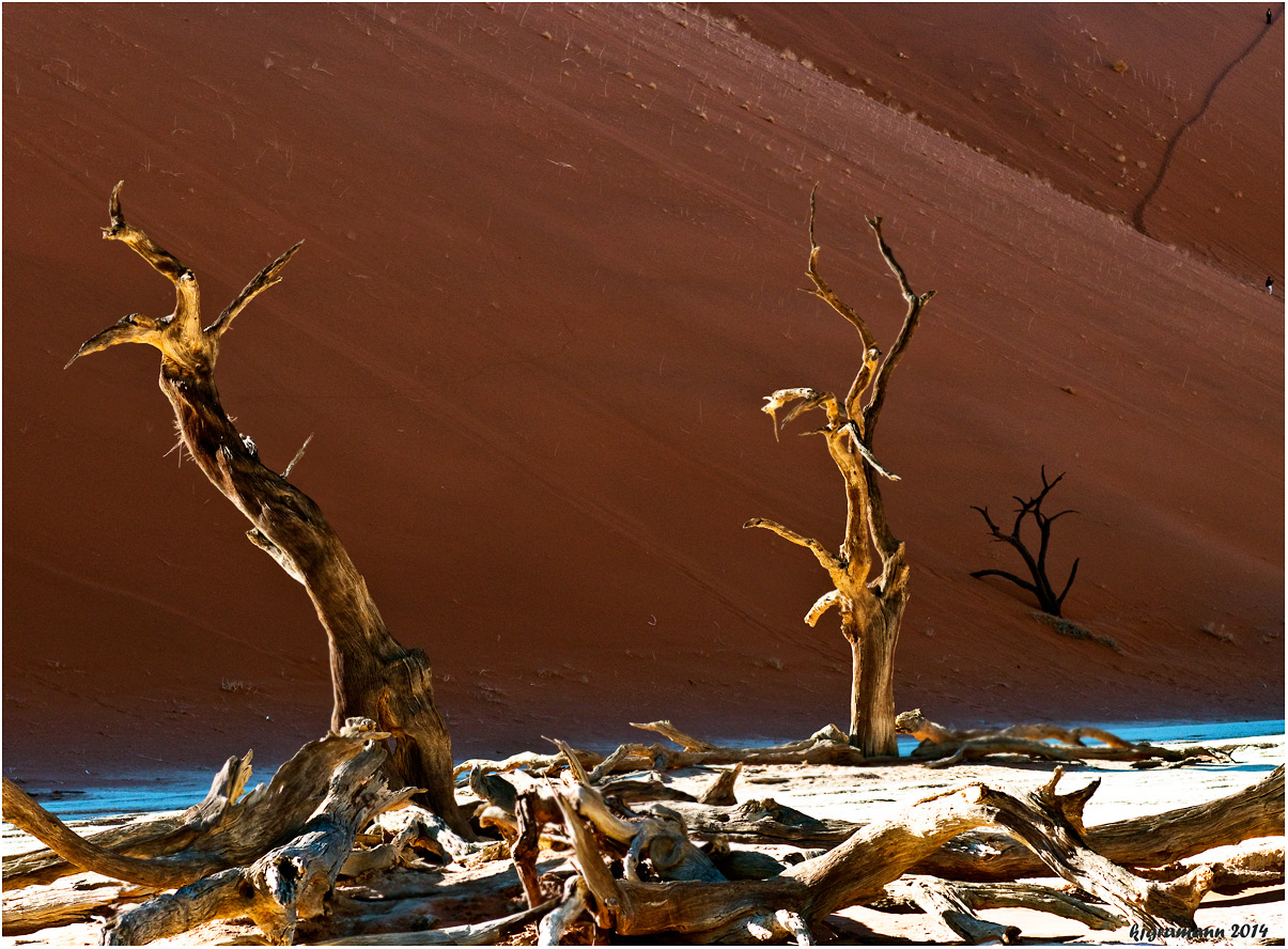 deadvlei......