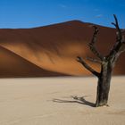 Deadvlei