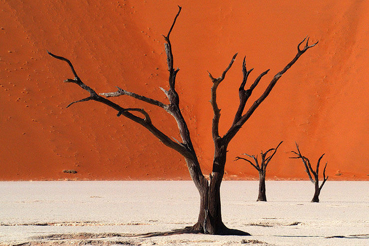 Deadvlei - alt bekannt