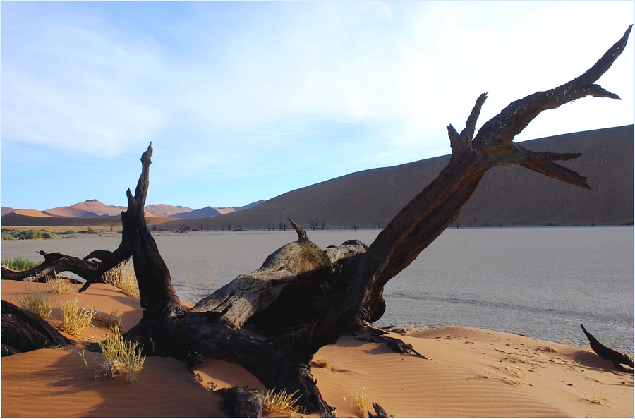 Deadvlei am Morgen