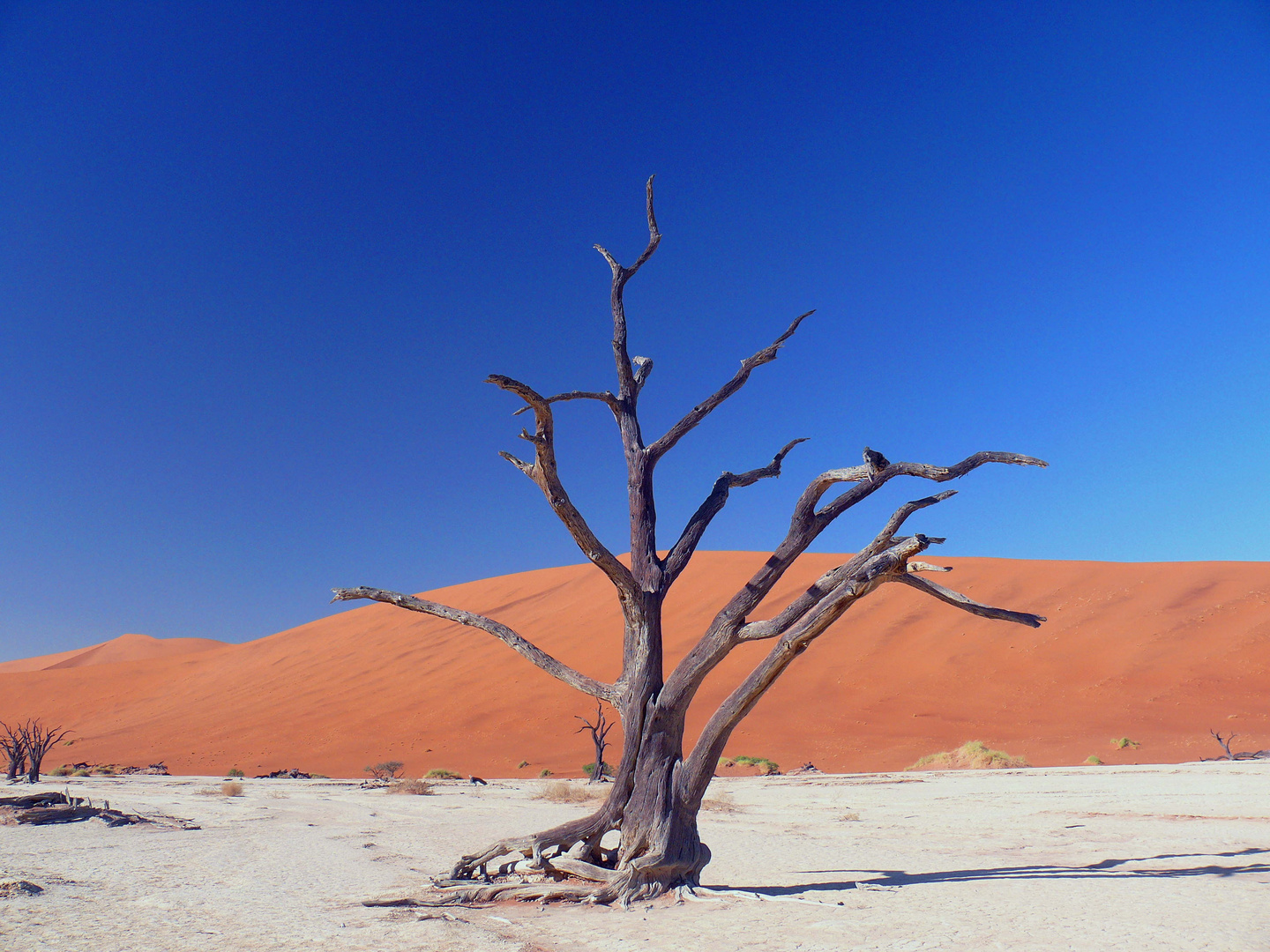 Deadvlei an einem schönen Oktobermorgen