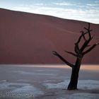 Deadvlei at Sunset