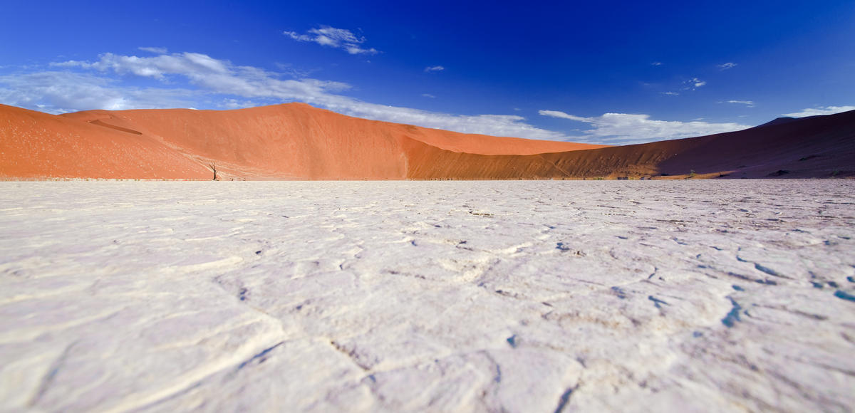 Deadvlei aus der Skorpionperspektive