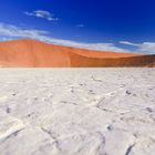 Deadvlei aus der Skorpionperspektive