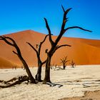 Deadvlei