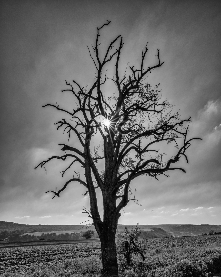 Deadvlei....