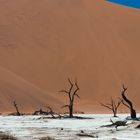 Deadvlei