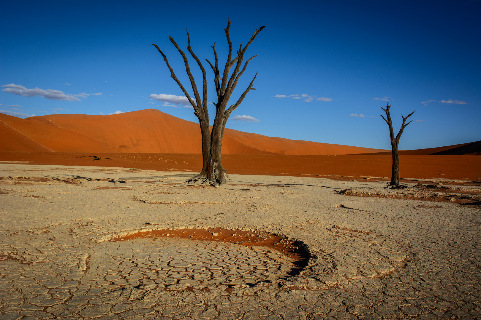 Deadvlei