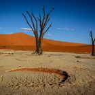 Deadvlei