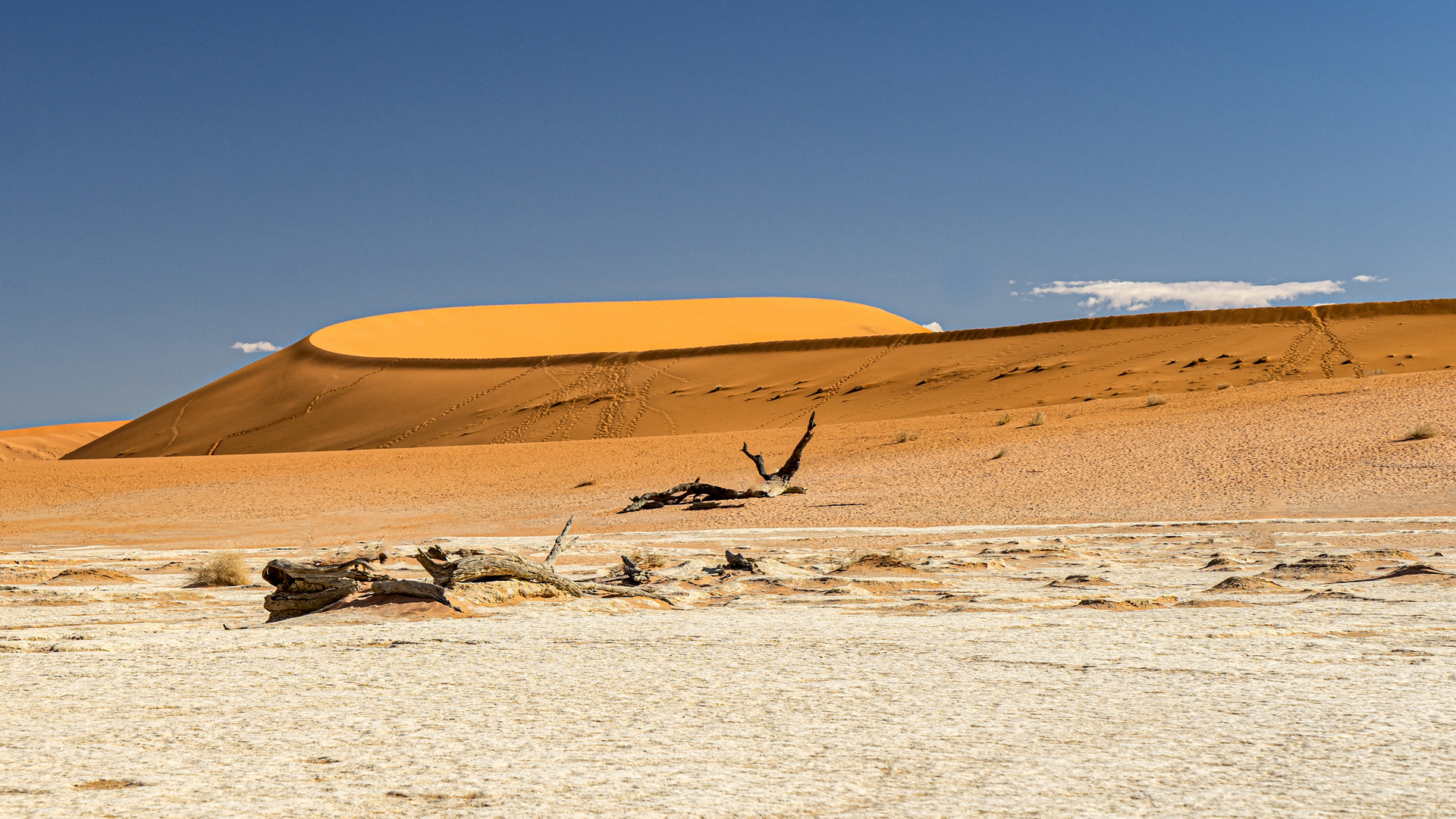 Deadvlei