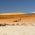 Deadvlei