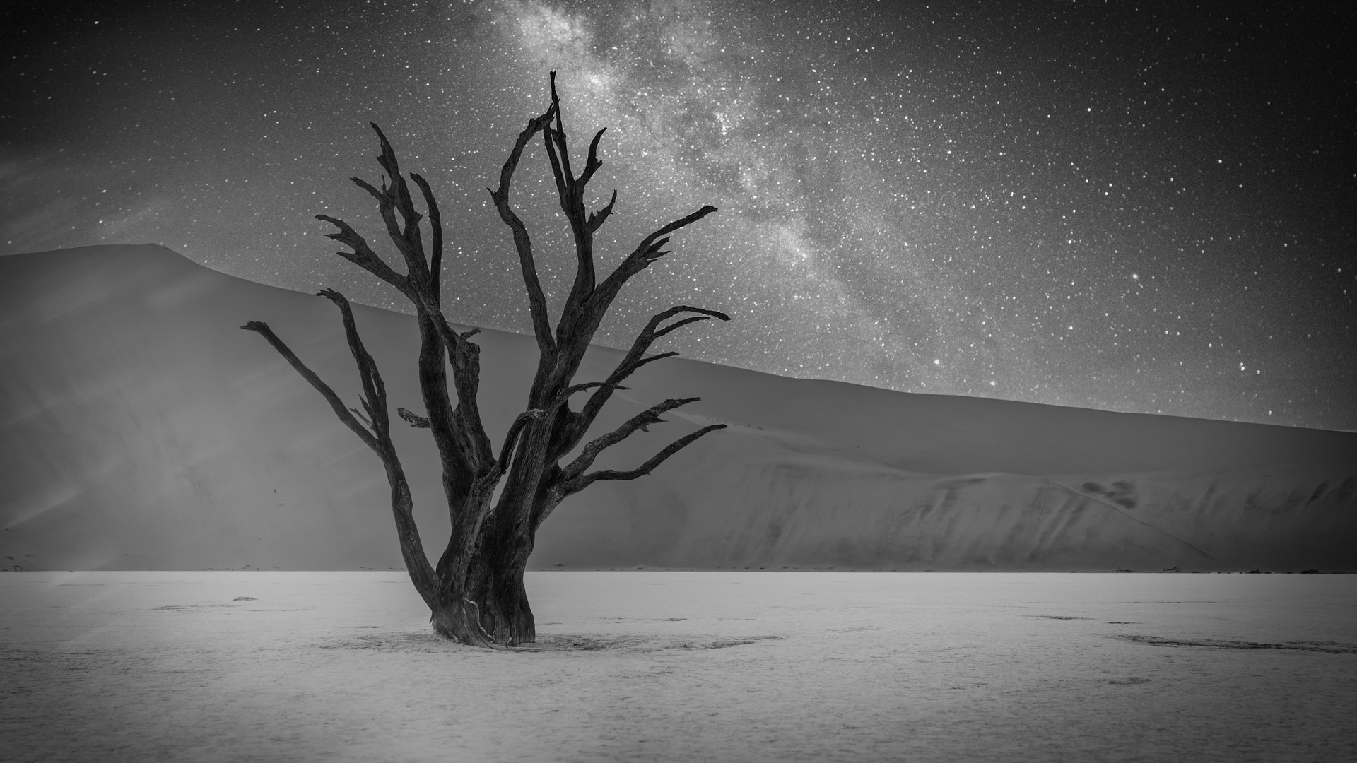 Deadvlei bei Nacht