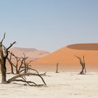 Deadvlei, bekannt und doch etwas anders