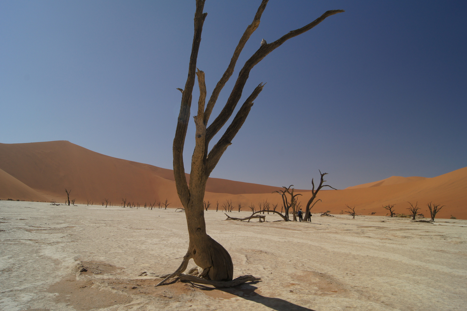 Deadvlei